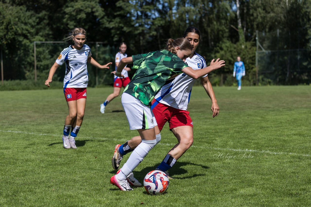 Bild 428 - wBJ Hamburger SV - VfL Wolfsburg : Ergebnis: 5:1